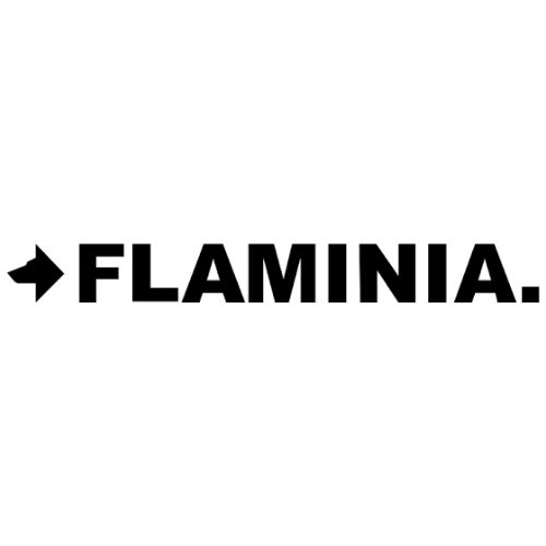 Copriwater Flaminia