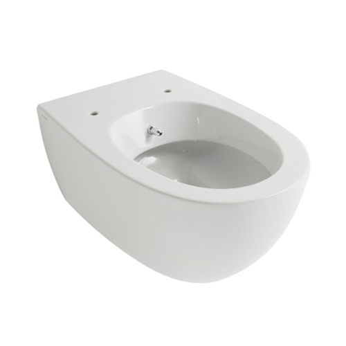 Wc con Bidet Incorporato per Anziani Wc con Bidet Incorporato per Anziani