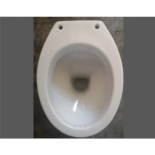 Bidet Alto Per Anziani | Ceramica Bianca | H. 48cm | Design Ergonomico Salvaspazio - Foto 8