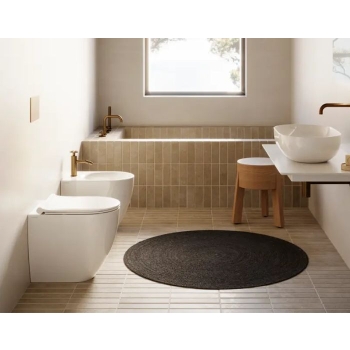 Sanitari Sfera 50 Filomuro 50x35 cm Silentech con Copriwater Slim Frizionato Bianco Lucido