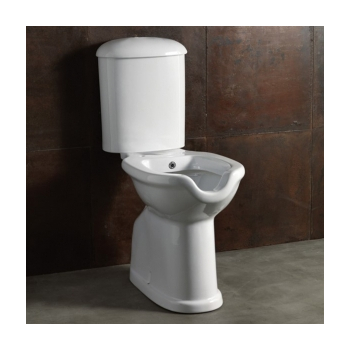 Water/bidet Comfort monoblocco disabili scarico terra con cassetta di scarico cm. 71,8x38 bianco di Ceramica Alice